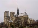 Guild Member reflections on the Notre Dame Fire